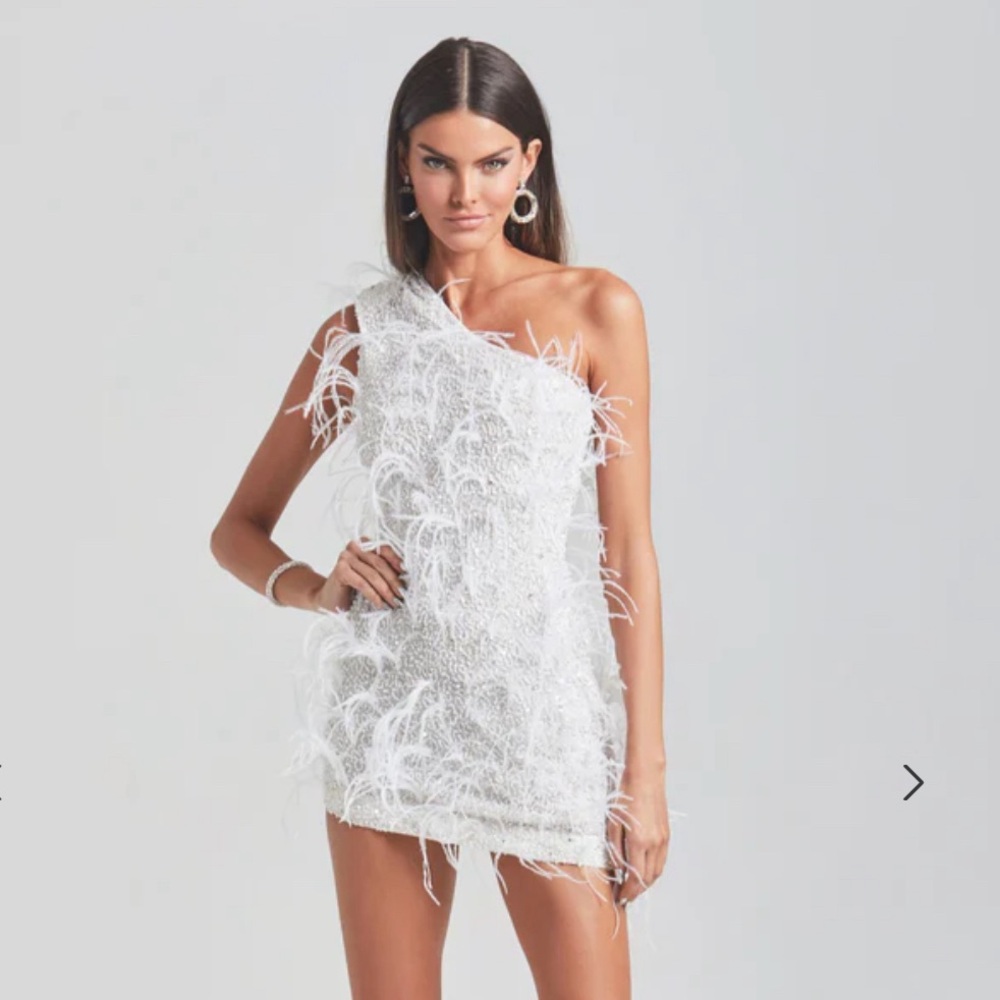 Retrofete Sina Feather Dress S